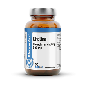Cholina Dwuwinian choliny 600 mg 60 kaps CL PV